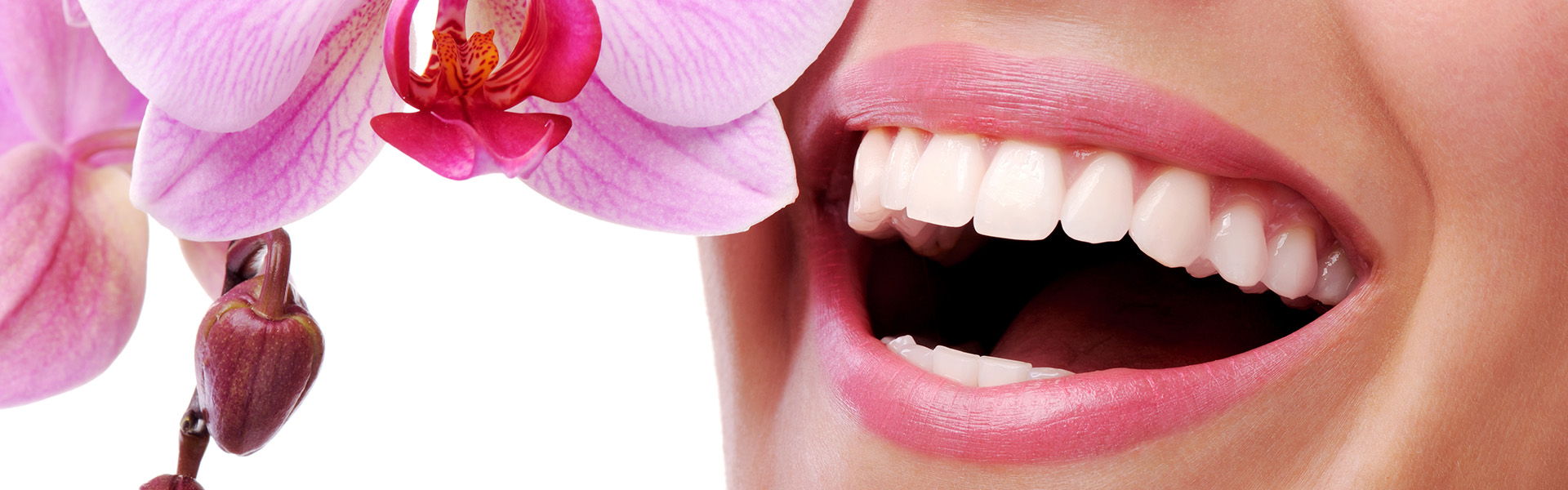 Nach Parodontosebehandlung in Rastede ist das Zahnfleisch so rosa und gesund wie die Blüten einer wundervollen unbekannten Blume in der Zahnarztpraxis Emma Klein in Rastede